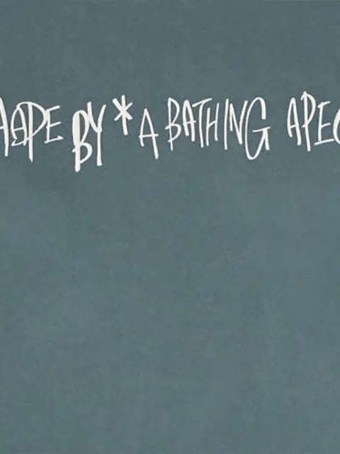 A BATHING APE® record logo long sleeve sweatshirt
